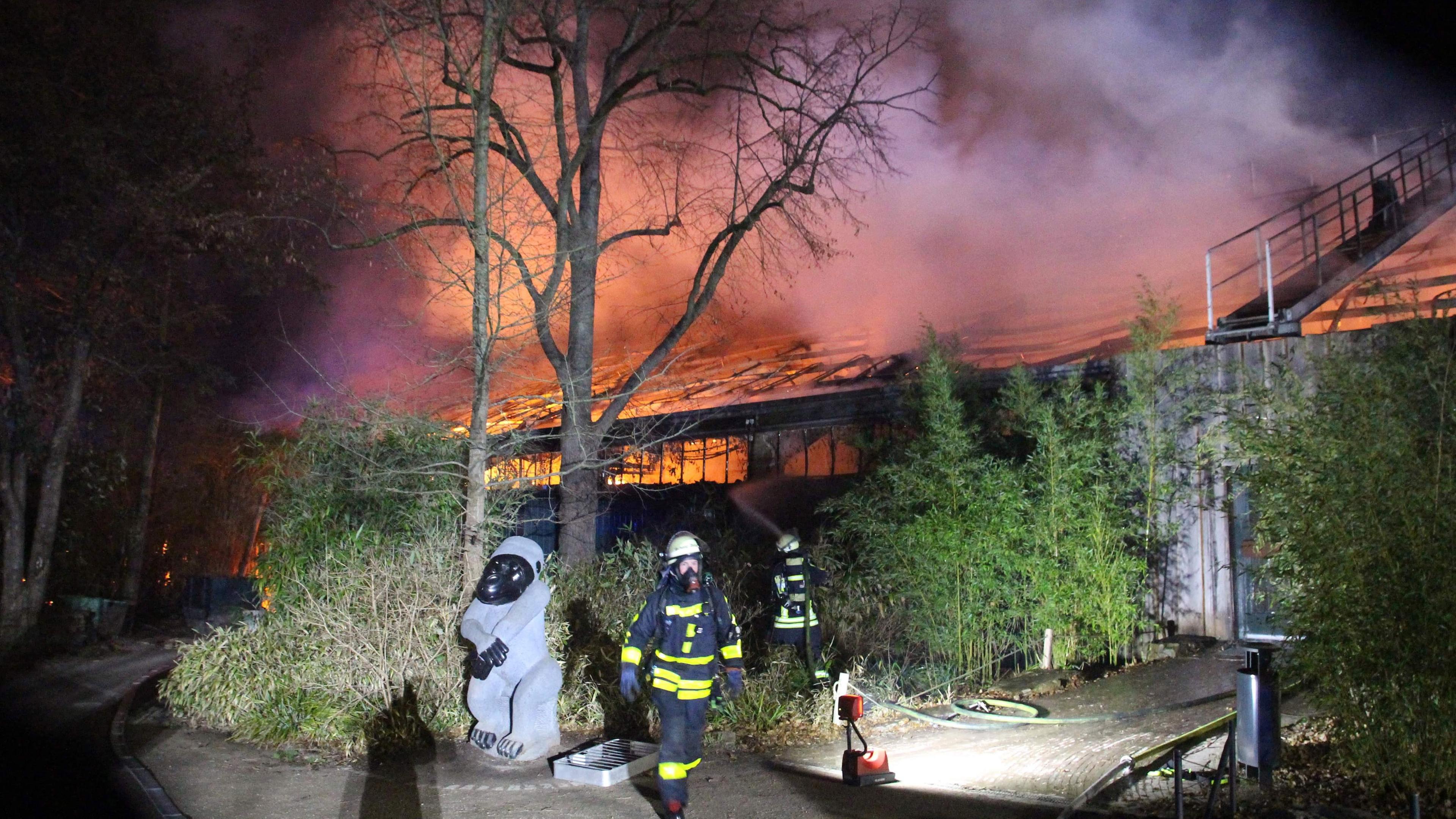 Das ausgebrannte Affenhaus in Krefeld: 30 Tiere starben in den Flammen.