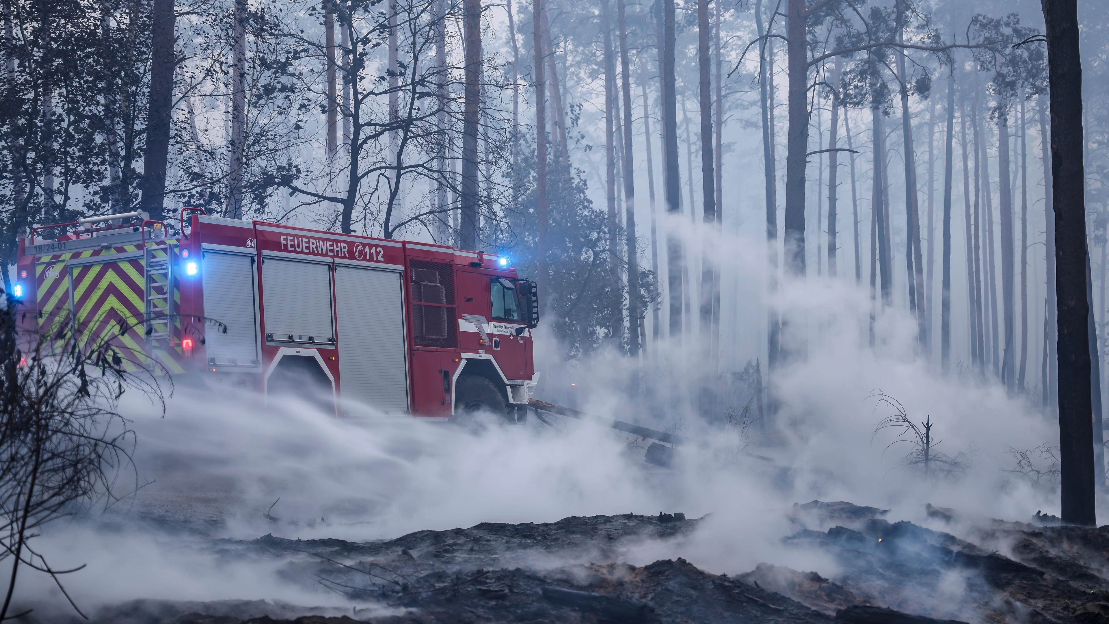 Brandenburg, Falkenberg: Feuerwehrleute löschen einen Waldbrand bei Falkenberg im Landkreis Elbe-Elster. Archivbild