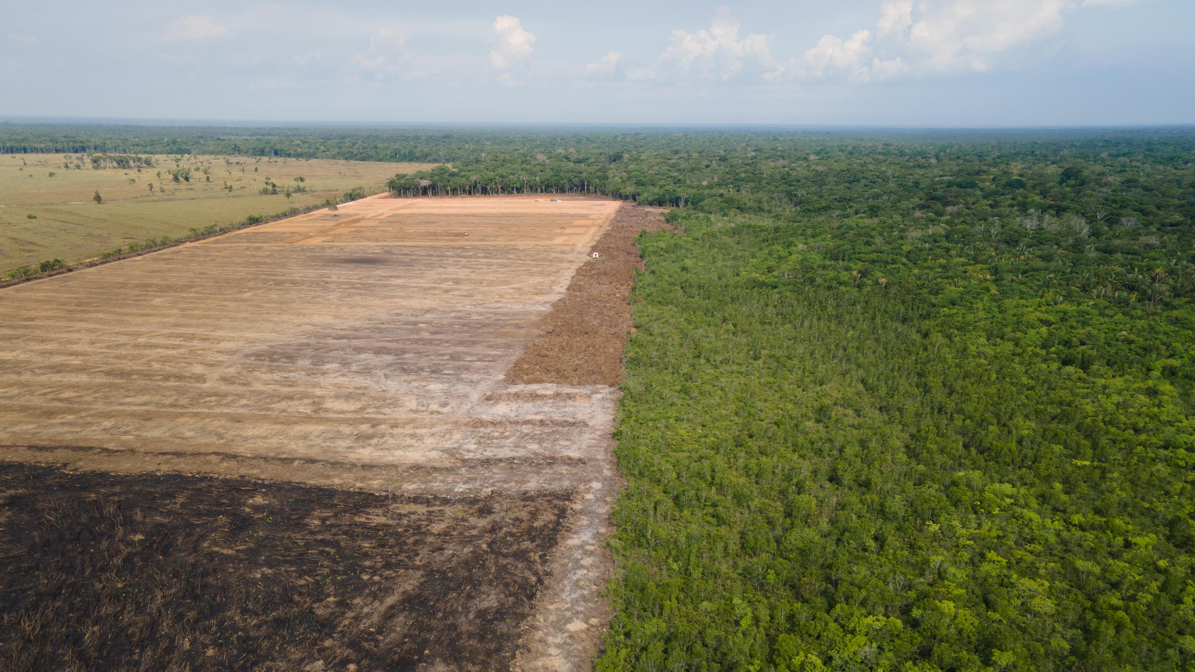 Ein Luftbild zeigt eine verbrannte und abgeholzte Fläche in einem Amazonas-Gebiet in Brasilien am 07.09.2021