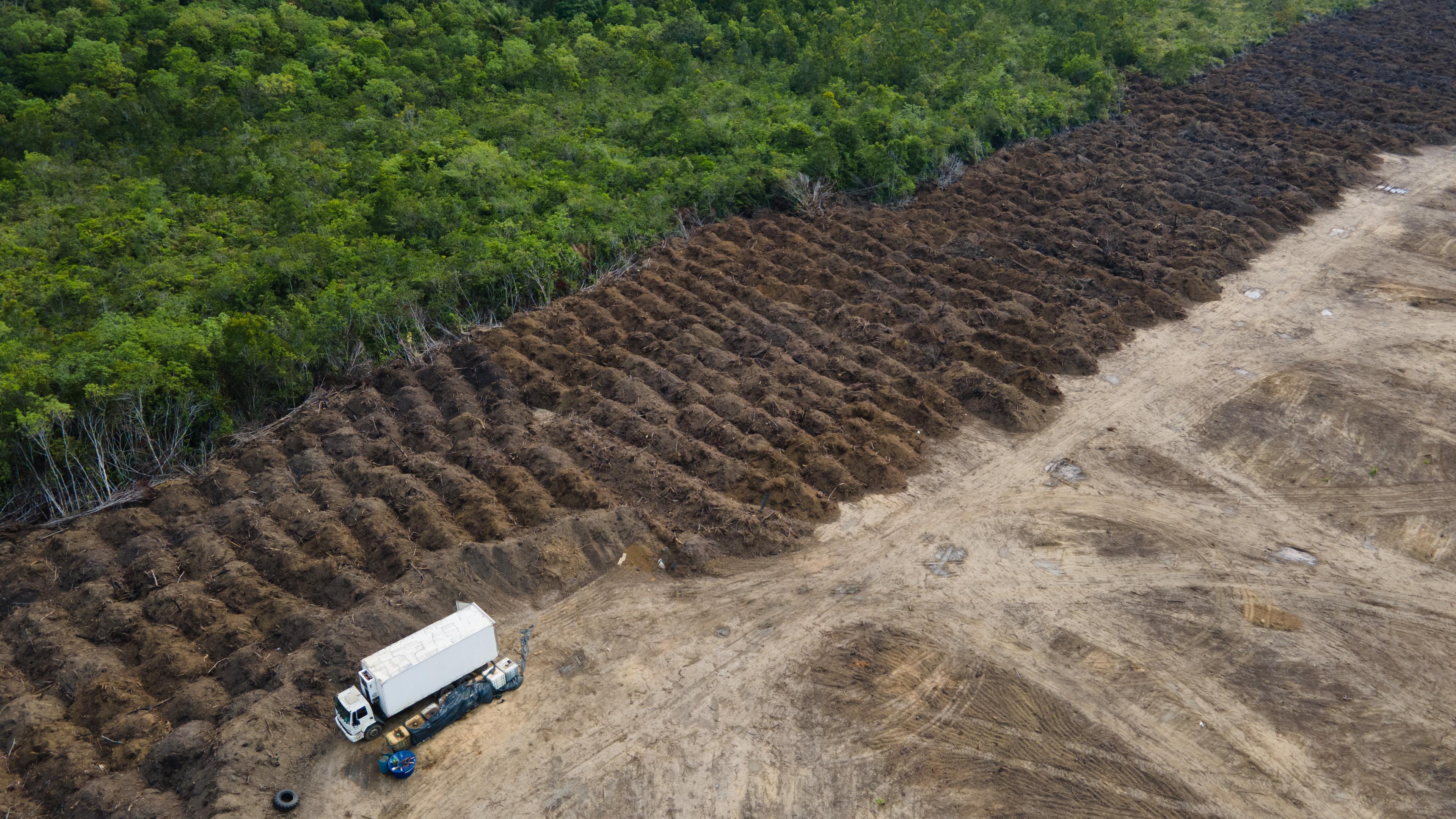 Ein Lastwagen steht in einem abgeholzten Gebiet des Amazonas. 
