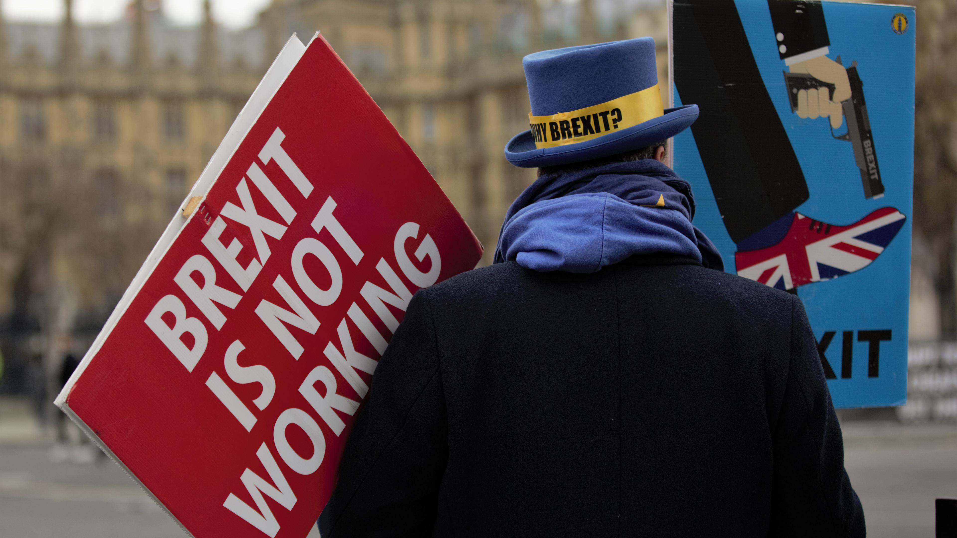 Ein Mann von hinten in einem schwarzen Mantel, der ein rotes Schild trägt auf dem steht: "Brexit is not working" 