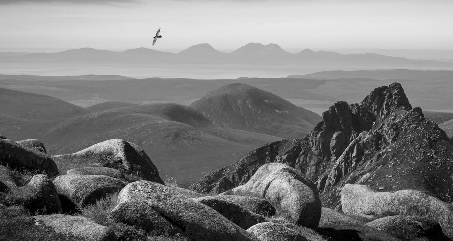 Fotograf Robin Dodd: „Wir saßen einige Zeit da und beobachteten diese Vögel, die ebenso anmutig wie jeder andere Raubvogel über Isle of Arran gleiteten.“