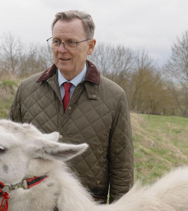 Älterer Mann, der hinter einem Lama steht.