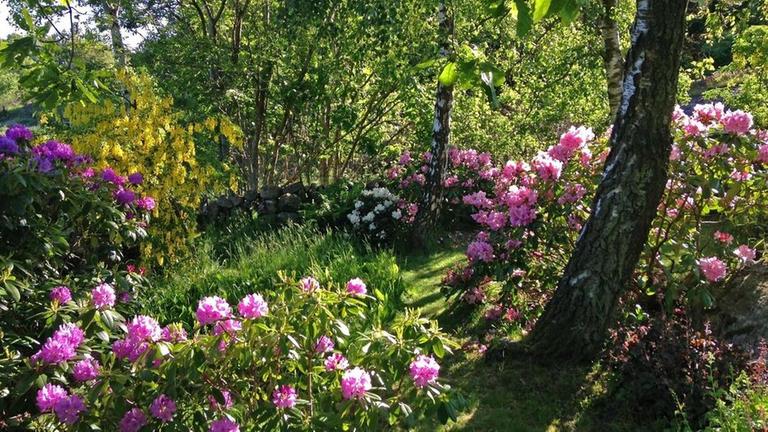 Der Friedhof der Zukunft aus Schweden gleicht eher einem Garten.