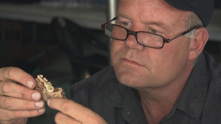 Lee Berger betrachtet zum ersten Mal das Unterkieferst�ck, dessen Foto ihn �berhaupt zu der Grabung veranlasst hatte.