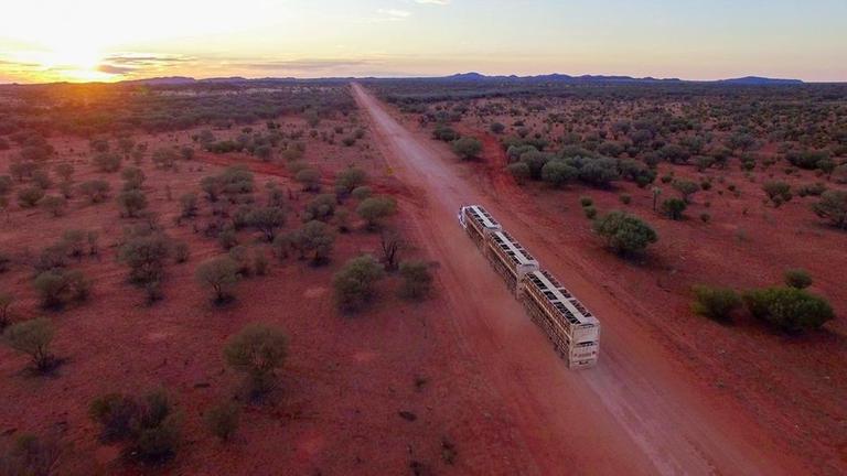 Jede Woche 2722 km - Andrew f�hrt mit seinem Road Train den Steward Highway entlang, der die Nord- und S�dk�ste miteinander verbindet. "Es wird nie langweilig, jede Minute �ndern sich die Farben", schw�rmt er �ber seinen einsamen Weg durchs Outback.
