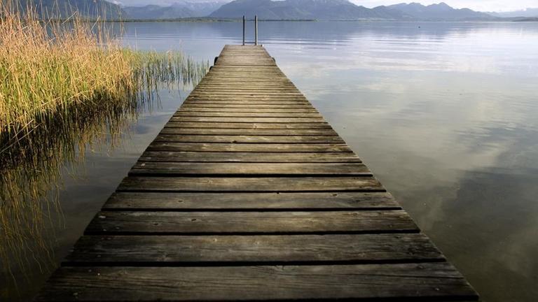 Der Chiemsee - der Campingplatz Seeh�usl liegt genau daneben