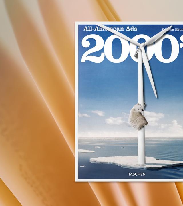 Auf dem Cover des Buches sieht man einen Eisbären, der sich an einem Windrad festklammert, welches sich im Meer befindet.