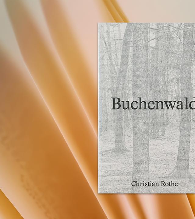 Auf dem Cover des Buches sieht man eine schwarz-weiß Illustration von Bäumen..