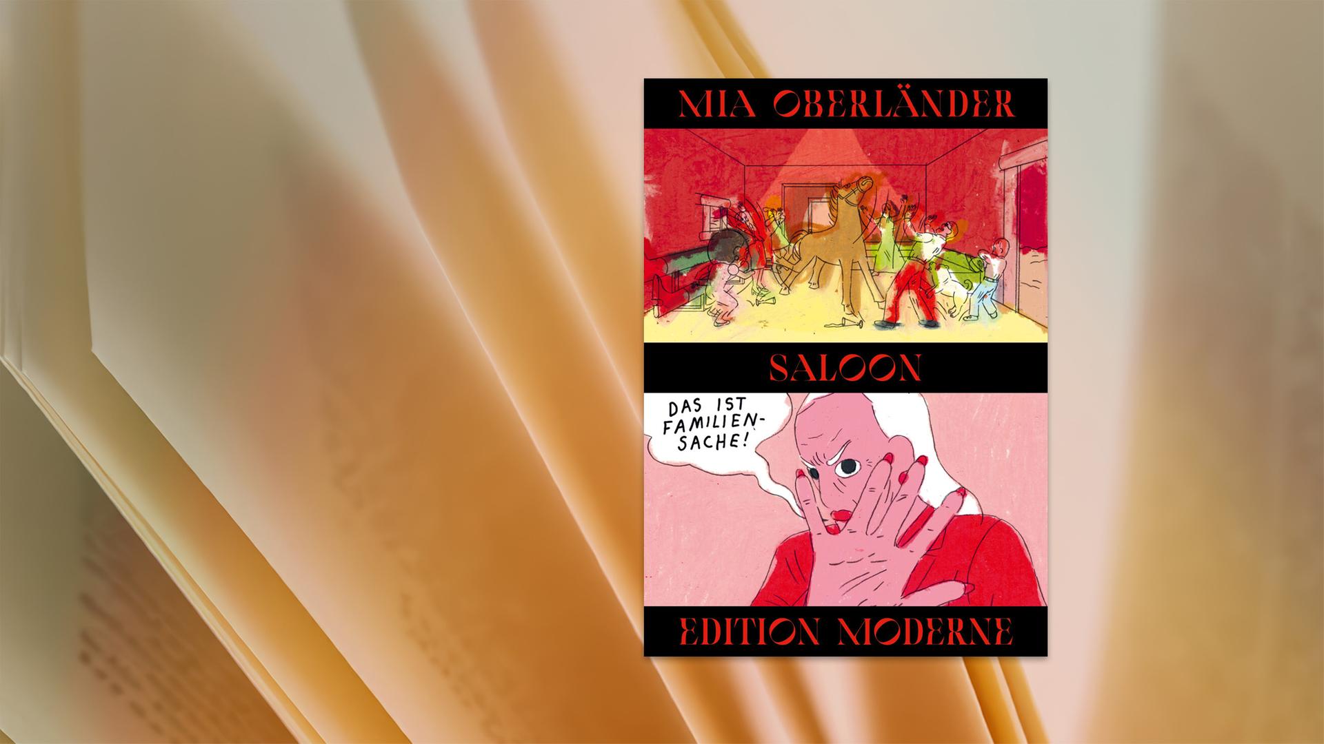 Auf dem Cover des Buches sieht man die Illustration eines Familenfestes und einer älteren Dame.