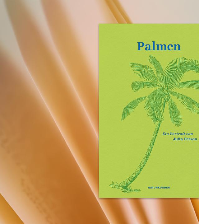 Auf dem Cover des Buches sieht man die Illustration einer Palme vor grünem Hintergrund.
