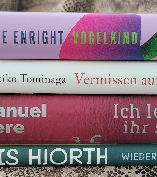 Die Rücken von vier aufeinandergestapelten Büchern.