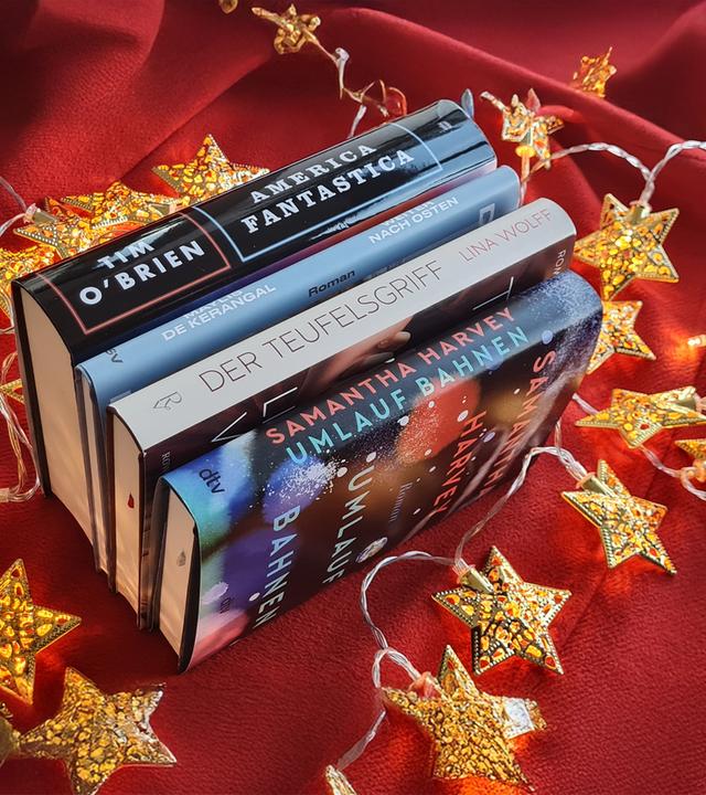 Vier Bücher auf einer roten Decke umgeben von einer Sternenlichterkette.