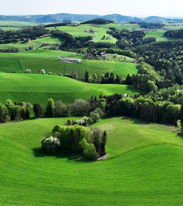Grüne Hügel und Täler