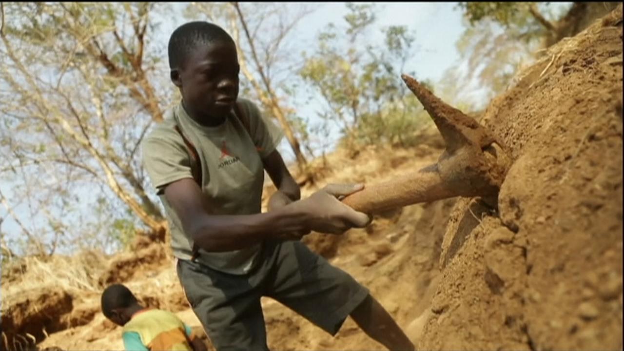 www.zdf.de