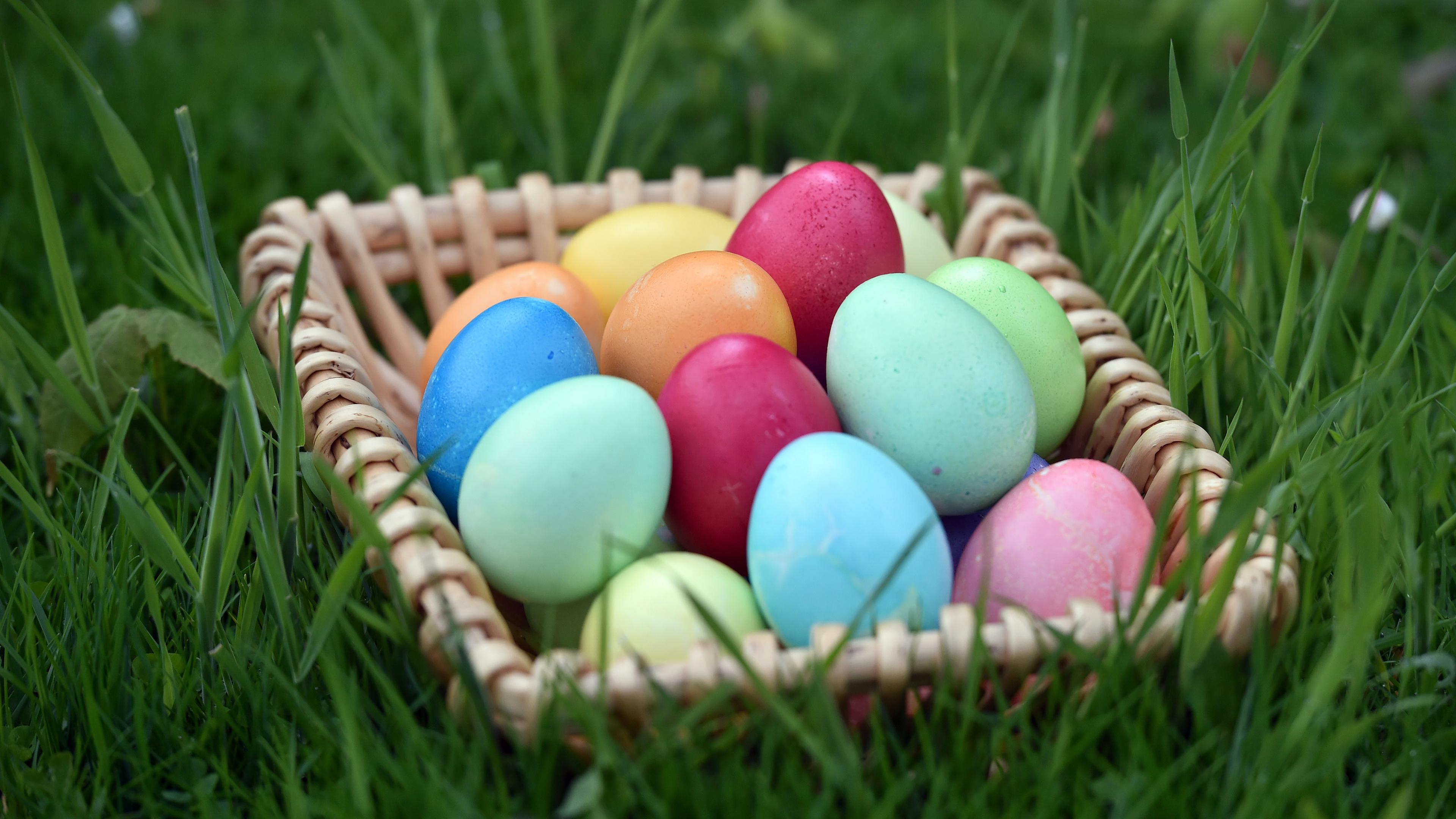 In einem Korb auf einer Wiese liegen gefärbte Eier.
