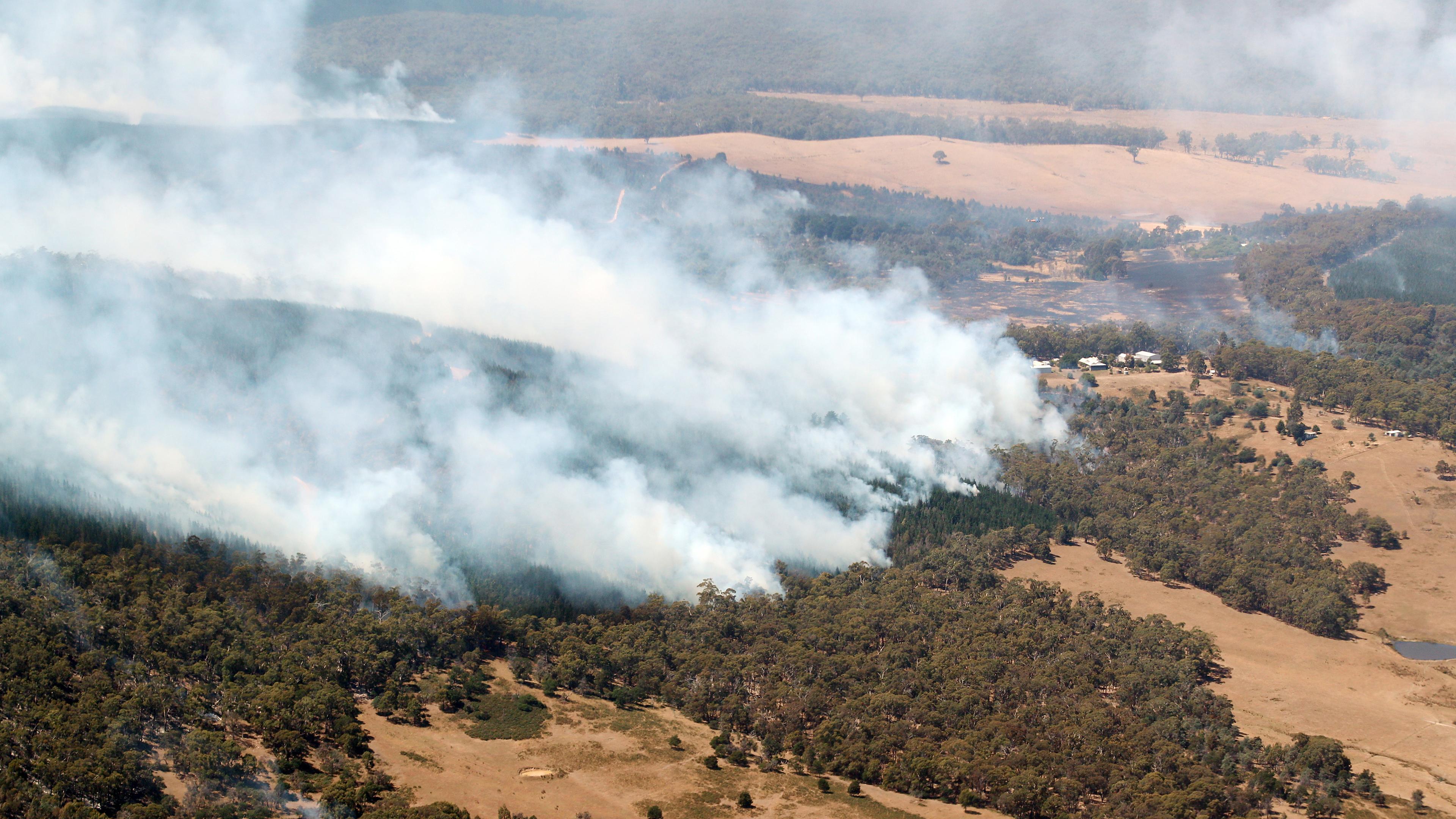Buschbränden ist nördlich von Beaufort in der Nähe von Ballarat in Victoria zu sehen, aufgenommen am 24.02.2024