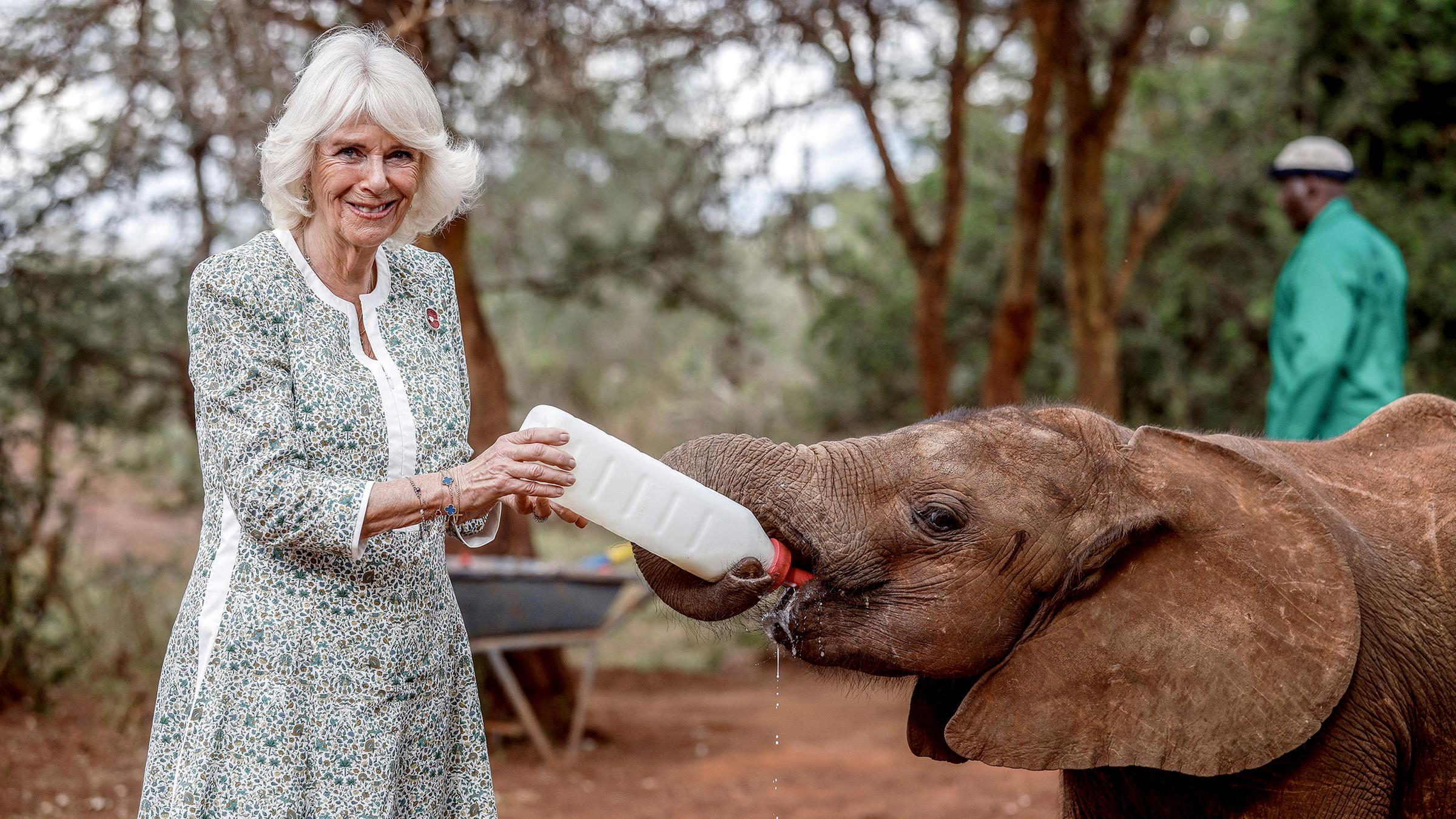 Camilla füttert Elefanten