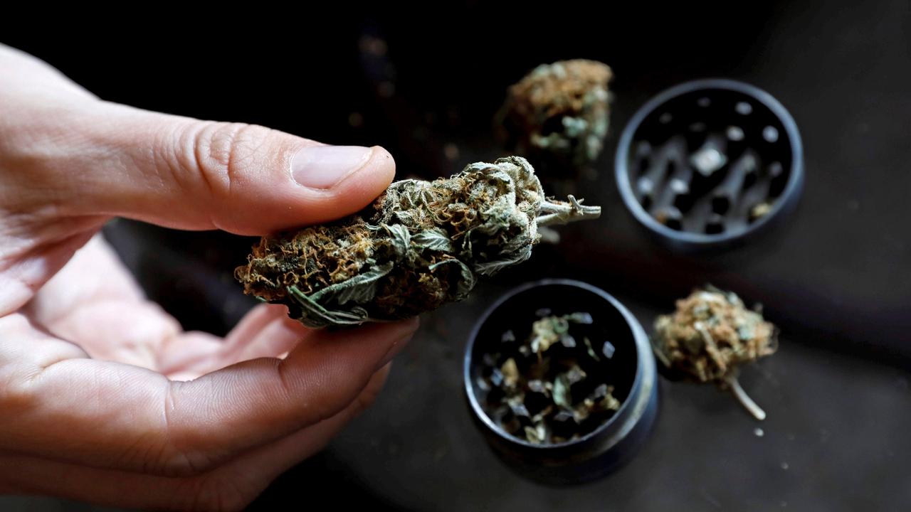 BDK fordert Ende des Cannabis-Verbots