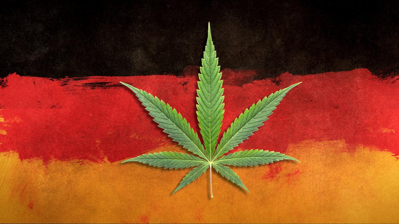 Legale Geschäfte - Cannabis made in Germany