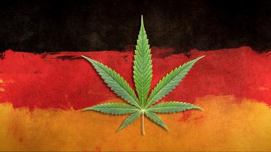 Zdfinfo - Cannabis Made In Germany - Legale Geschäfte Mit Der Droge