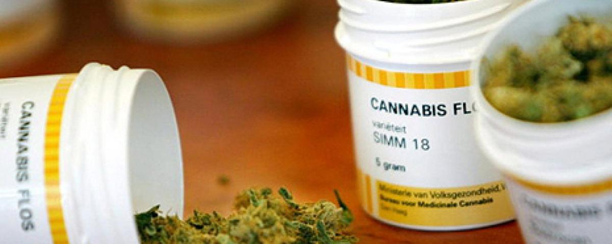 Standbild: Cannabis - Medizin oder Droge?