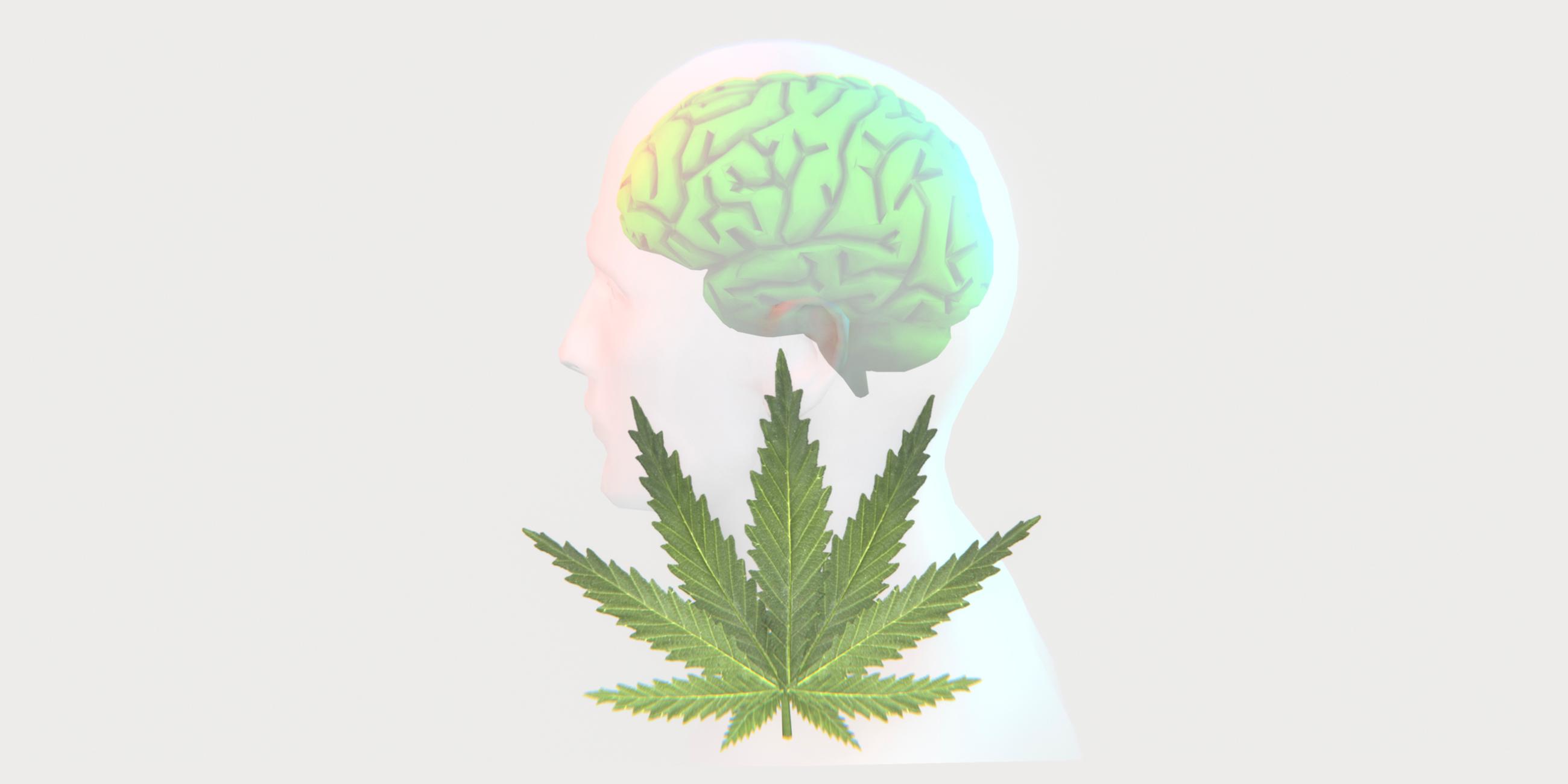 Die Illustration zeigt ein Cannabis-Blatt und die Silhouette eines Menschen