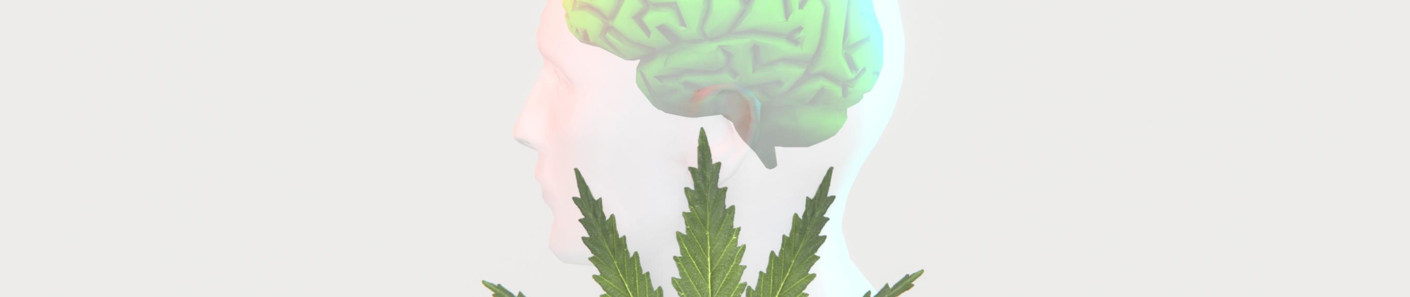 Die Illustration zeigt ein Cannabis-Blatt und die Silhouette eines Menschen