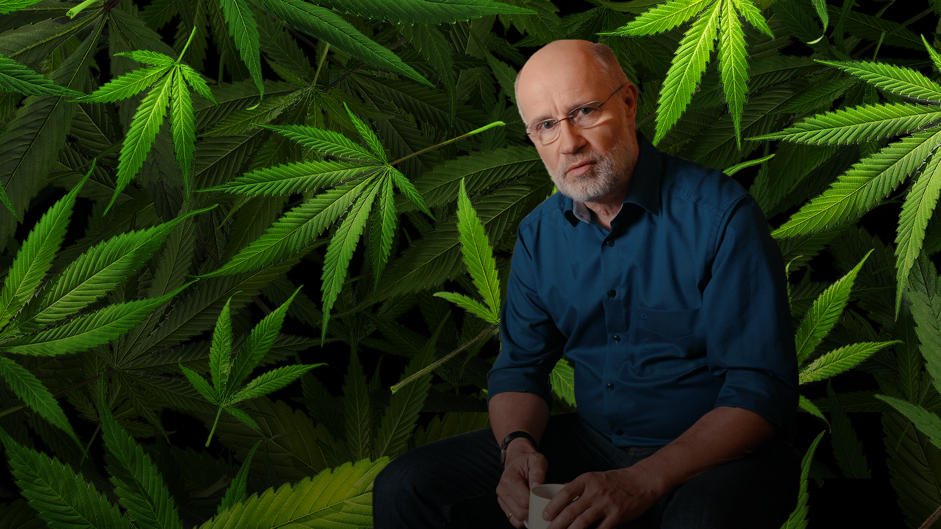 Collage: Harald Lesch vor Cannabisblättern