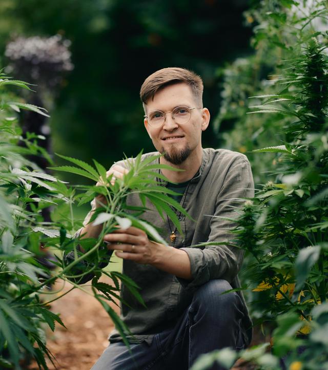 Dominik kniet in seinem Gewächshaus zwischen Hanfpflanzen. Er schaut lächelnd in die Kamera.