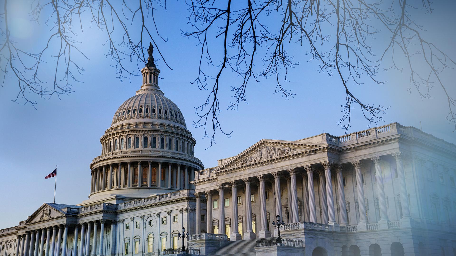 Capitol in Washington