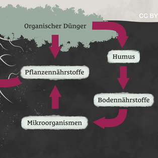 Die Wirkung von Dnger  ZDF goes Schule