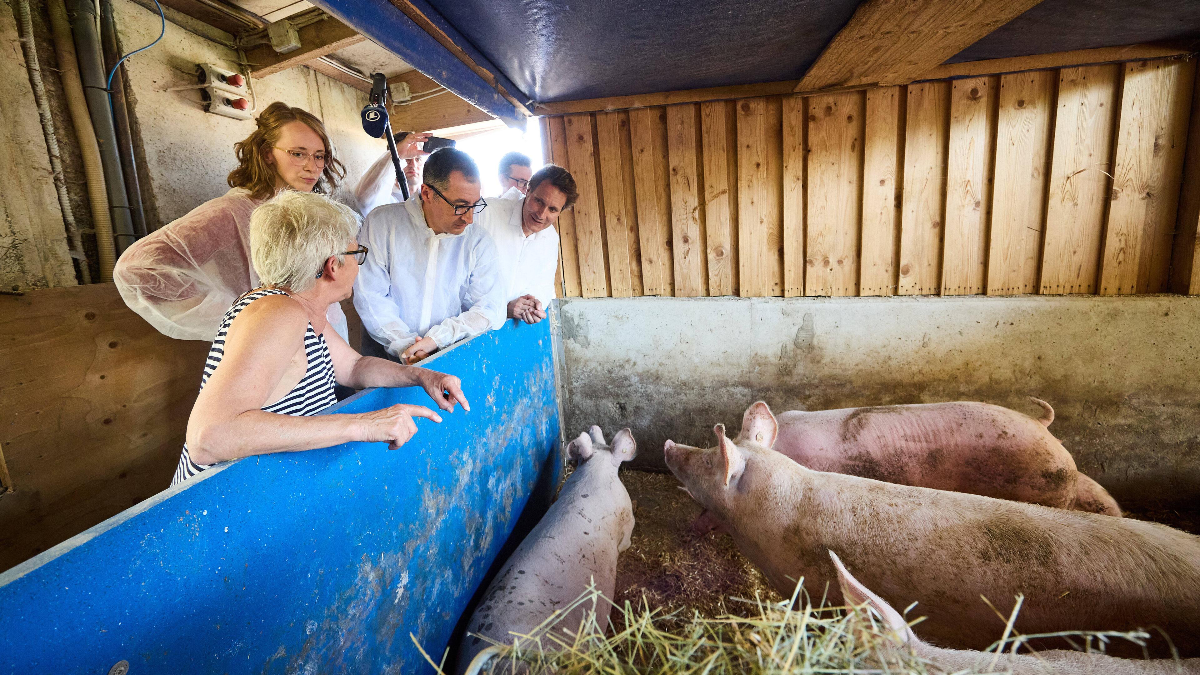 Cem Oezdemir (Buendnis 90/Die Gruenen), Bundesminister fuer Landwirtschaft und Ernaehrung, besucht den Schweinsmastbetrieb