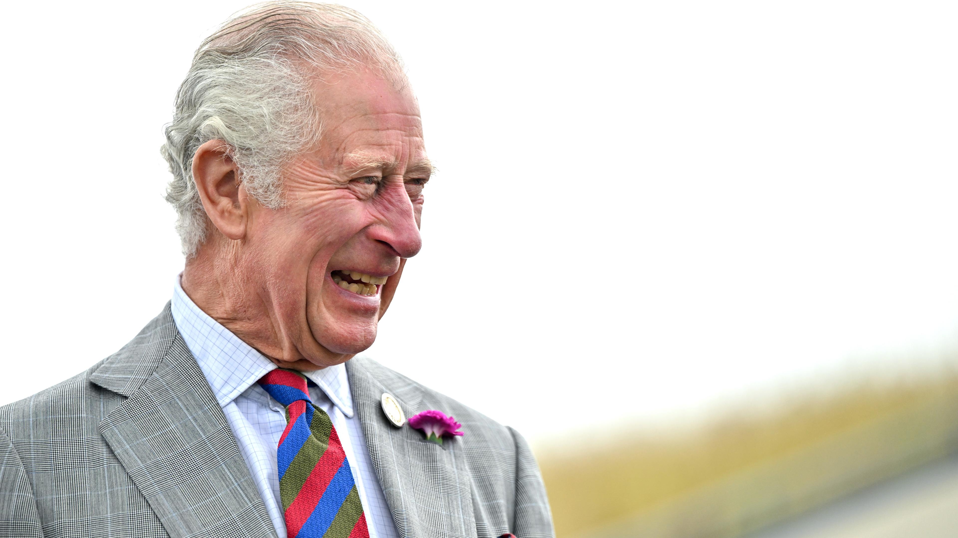 Prinz Charles in Wales