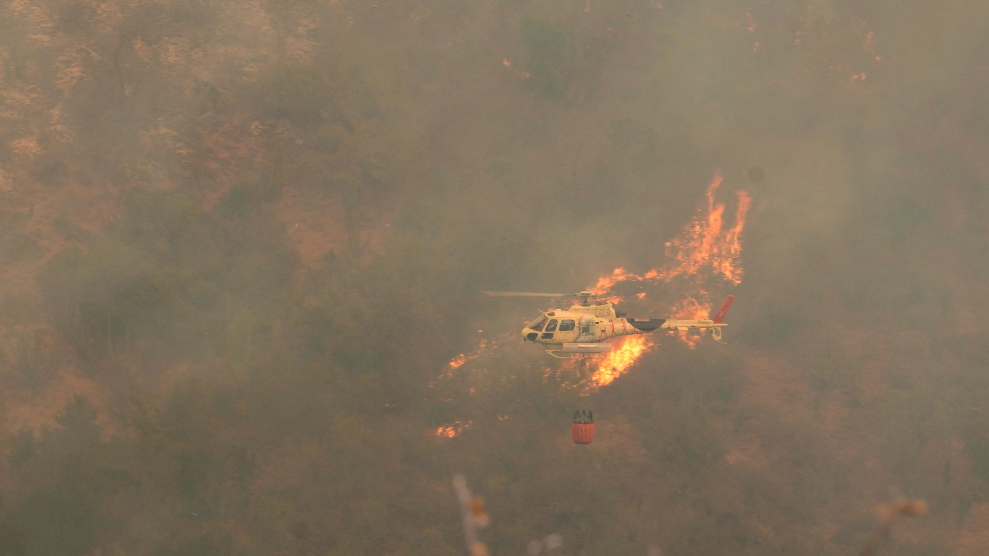 Archiv, 03.02.2024, Chile, Vina del Mar: Ein Hubschrauber fliegt über einen Waldbrand, der sich ausgebreitet hat.