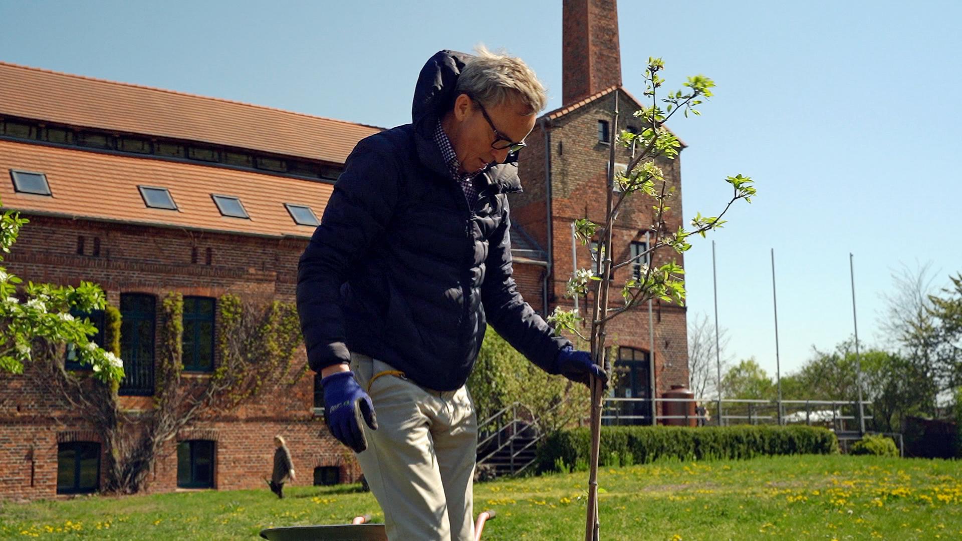 Download Havelland Ribbeck Background