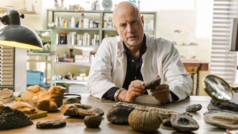 Christian Berkel mit gefälschten Artefakten: Historische und sogar Fundstücke wurden gefälscht. Berkel berichtet über dreiste Fossil-Fälscher.