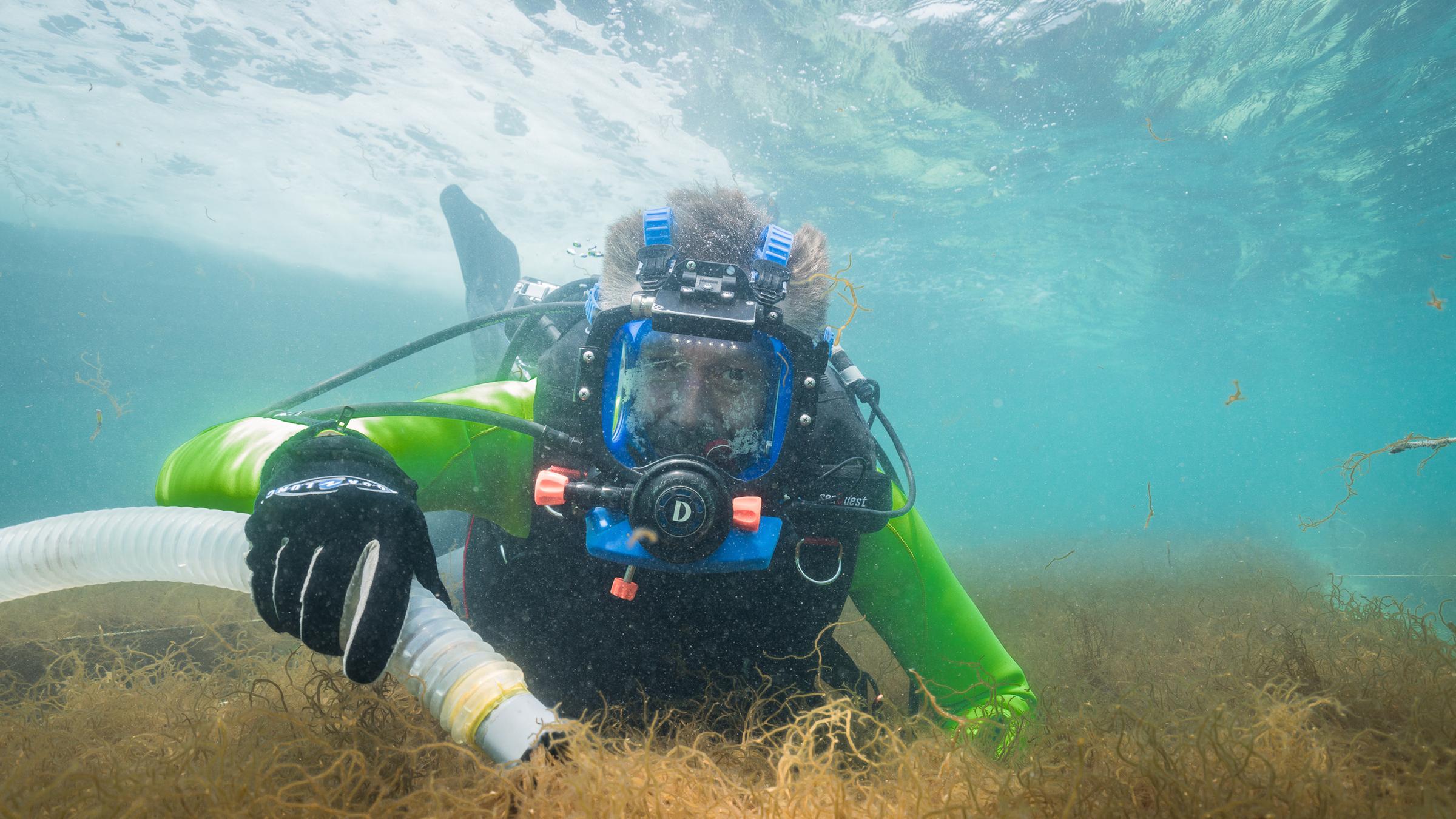 "Faszination Erde: Japan – Land der Gegensätze": Dirk Steffens im Tauchanzug saugt Algen vom Meeresboden ab.