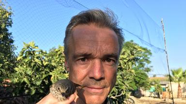 "Hannes Jaenicke im Einsatz für Vögel": Hannes Jaenicke hält einen Singvogel in der rechten Hand. Im Hintergrund sieht man Bäume und blauen Himmel.