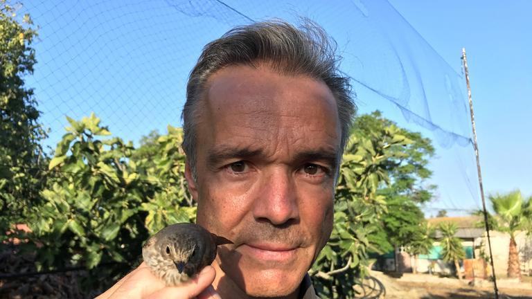 "Hannes Jaenicke im Einsatz für Vögel": Hannes Jaenicke hält einen Singvogel in der rechten Hand. Im Hintergrund sieht man Bäume und blauen Himmel.