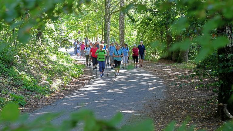 "ZDFzeit: Die große Deutschland-Studie? - Wo leben Senioren am besten?": Eine Gruppe älterer Menschen wandert mit Nordic-Walking-Ausrüstung durch den Wald.