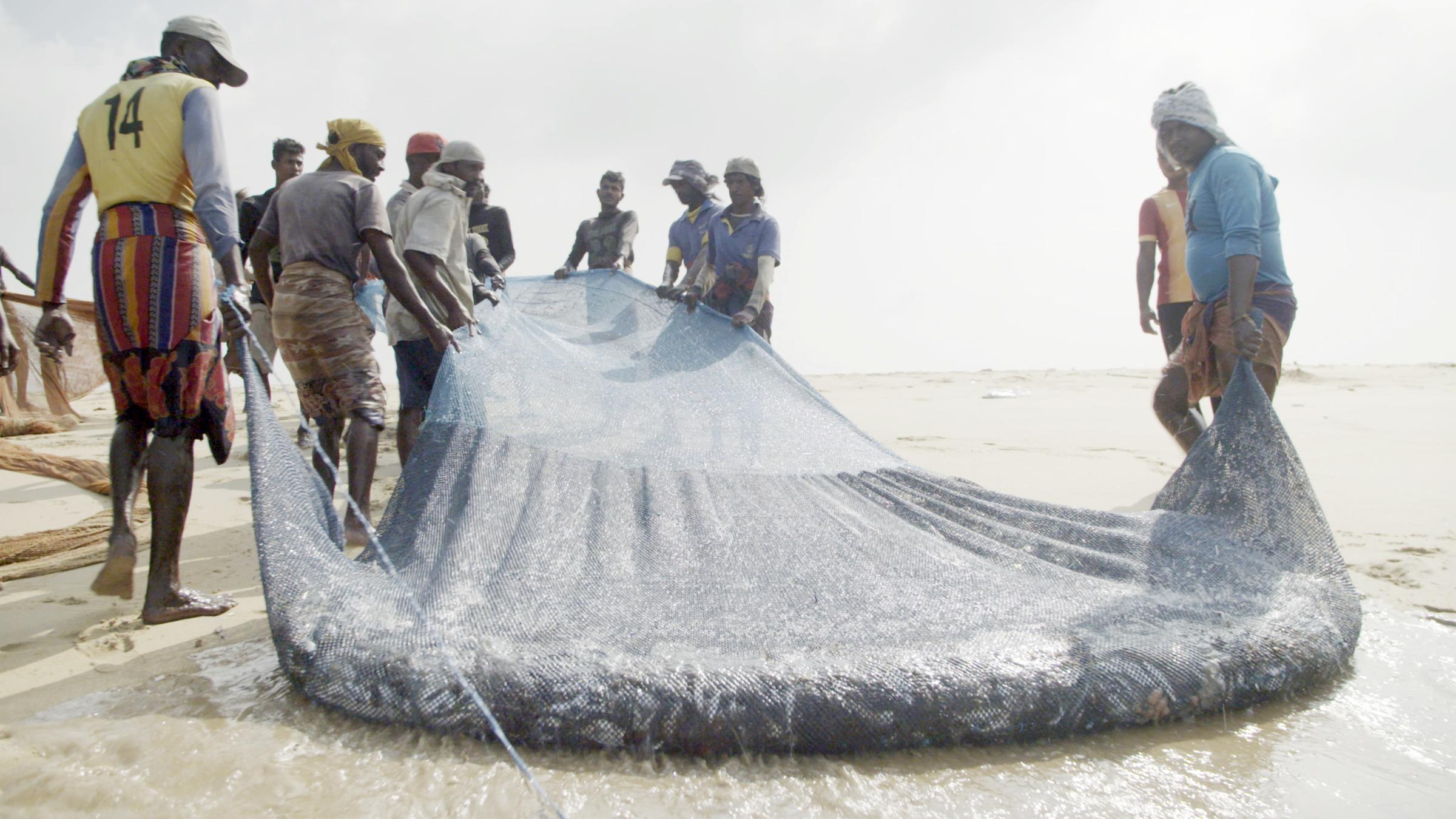 "planet e.: Ocean Grabbing - Wem gehört das Meer ?": Mehrere dunkelhäutige Männer ziehen ein volles Fischernetz am Strand entlang.
