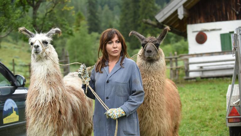 "Frühling - Familie auf Probe": Katja Baumann (Simone Thomalla) steht auf einer Wiese und hält zwei Lamas an Stricken. Sie schaut ernst in eine Richtung.