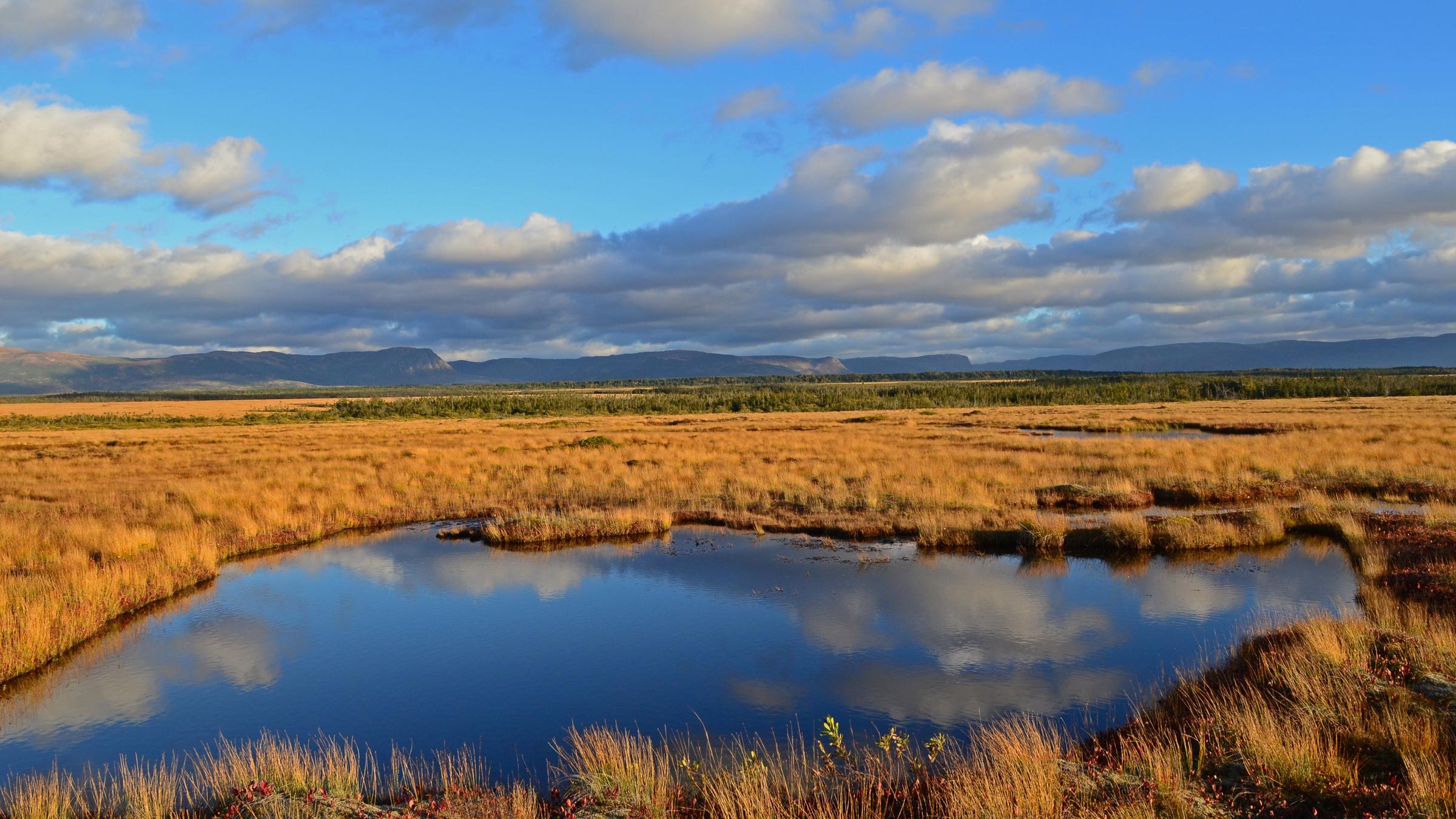 "Terra X: Faszination Erde mit Dirk Steffens: Kanada - Schatz der Kälte": Die Tundra - Landschaft in Kanada. In einem See im Vordergrund spiegeln sich die Wolken.