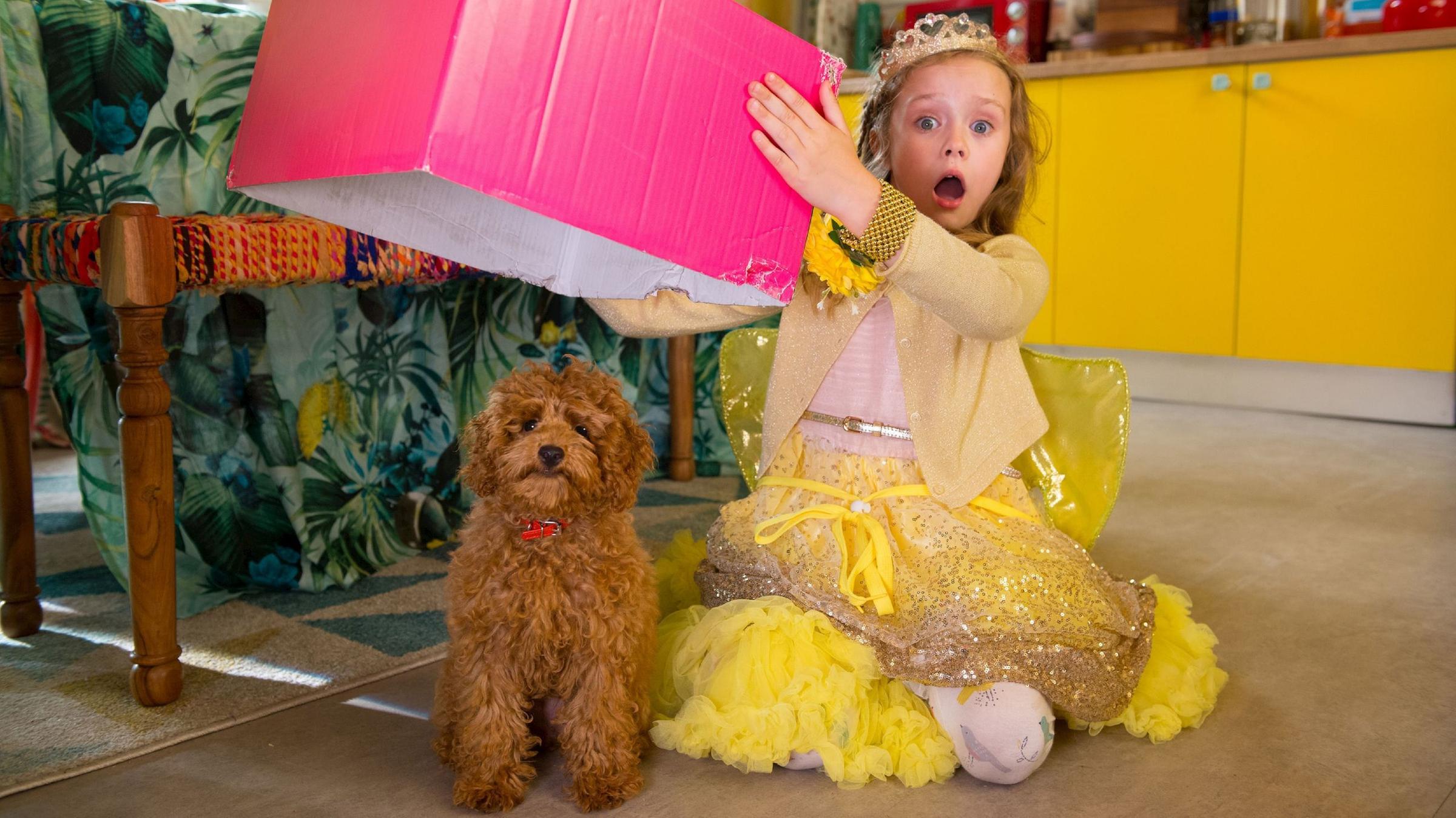 "Wuffel, der Wunderhund - Die Hochzeitsüberraschung": Das kleine Mädchen Evi (Tahliya Lowles) hockt in einem gelben Prinzessinnenkostüm am Boden einer Wohnküche und hebt einen pinkfarbenen Karton in die Höhe. Darunter sitzt ein Pudelwelpe.