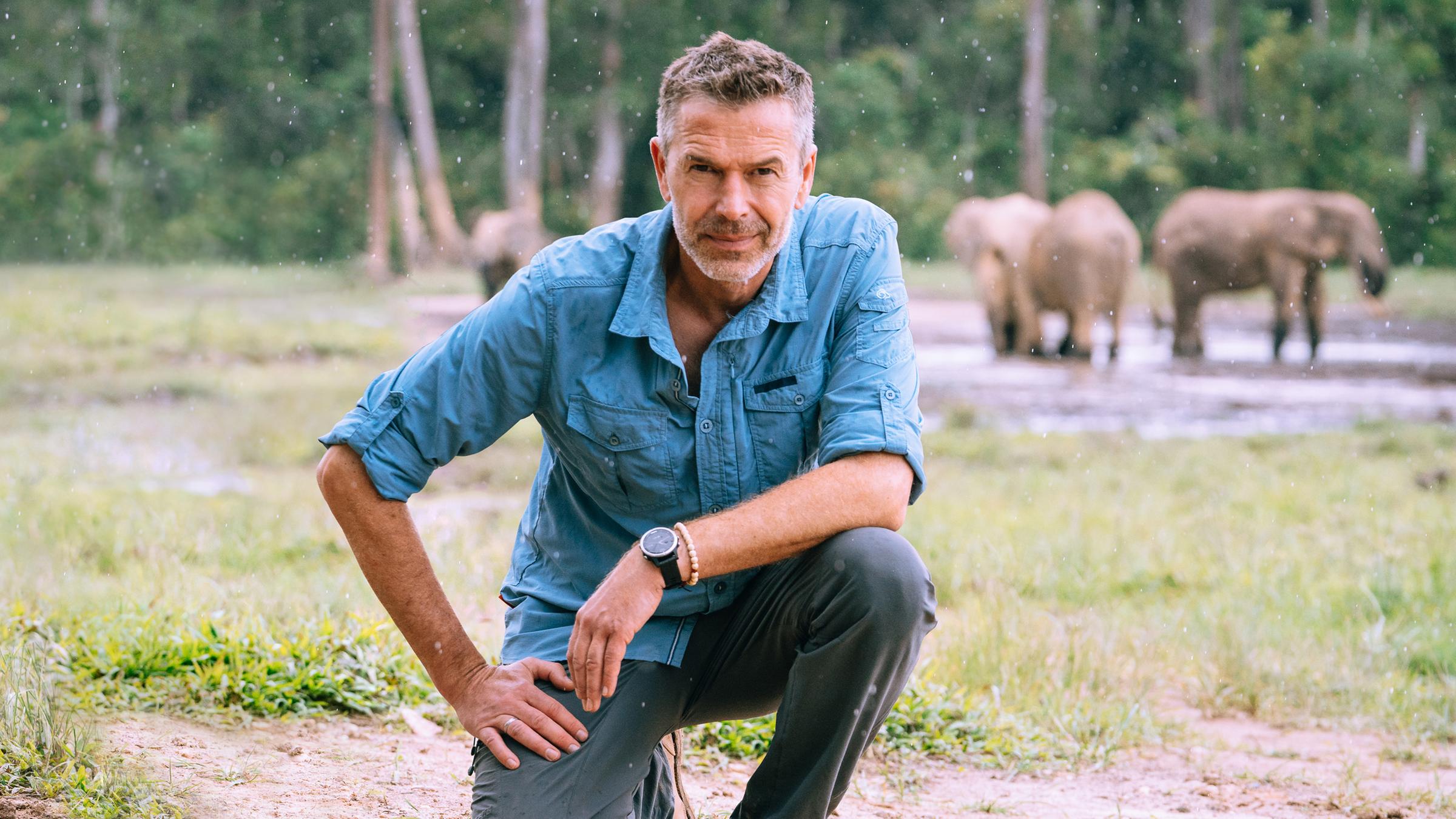 "Terra X: Faszination Erde: Kamerun - Ganz Afrika im Kleinen": Dirk Steffens sitzt auf einer Lichtung in Zentralafrika in der Hocke und schaut in die Kamera. Im Hintergrund sind unscharf Elefanten an einem Wasserloch zu sehen.