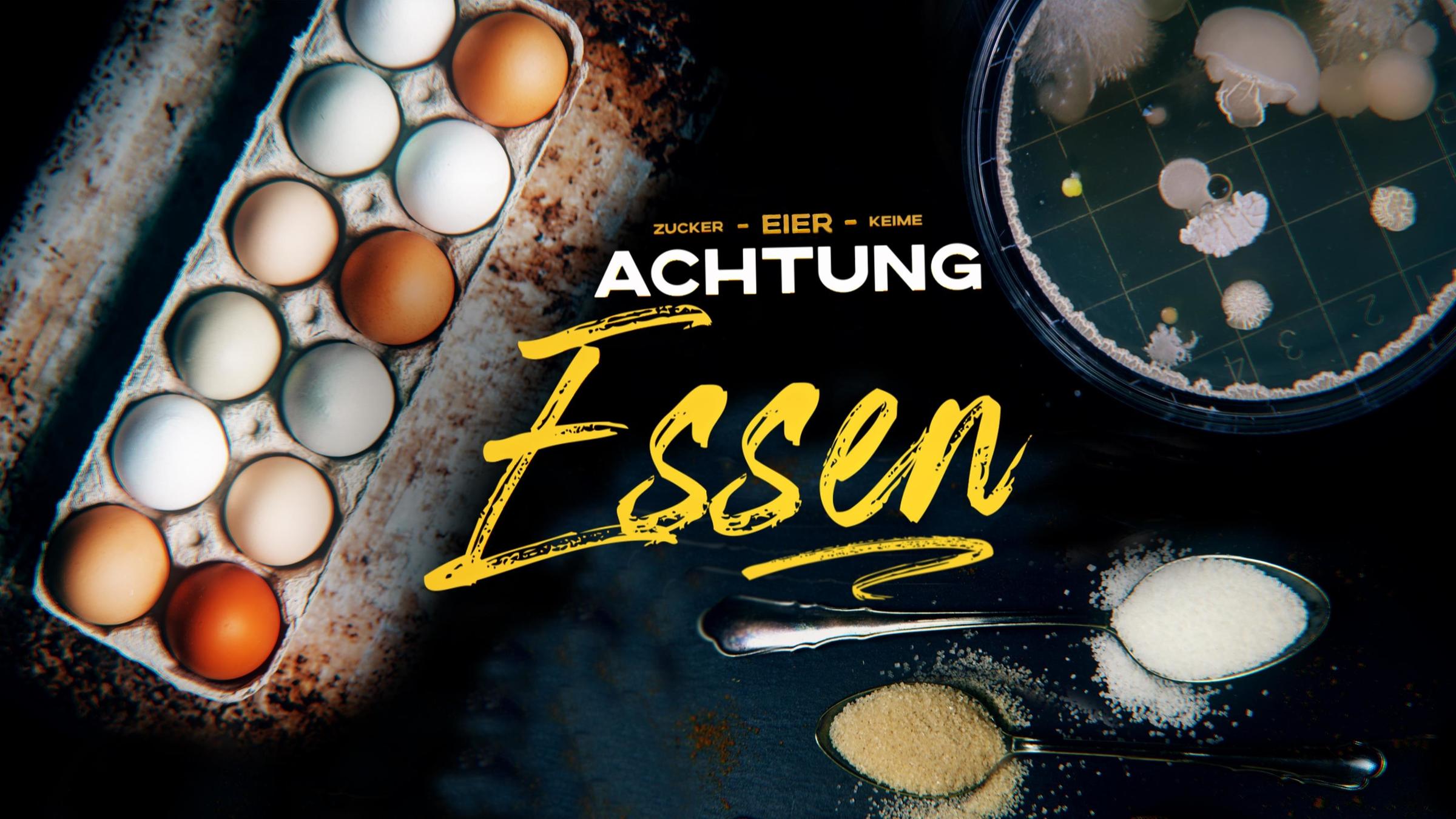 "Achtung, Essen! - Eier": Eine Schachtel mit Eiern, eine Petrischale mit Keimen und zwei Teelöffel mit Zucker liegen auf einer Oberfläche.