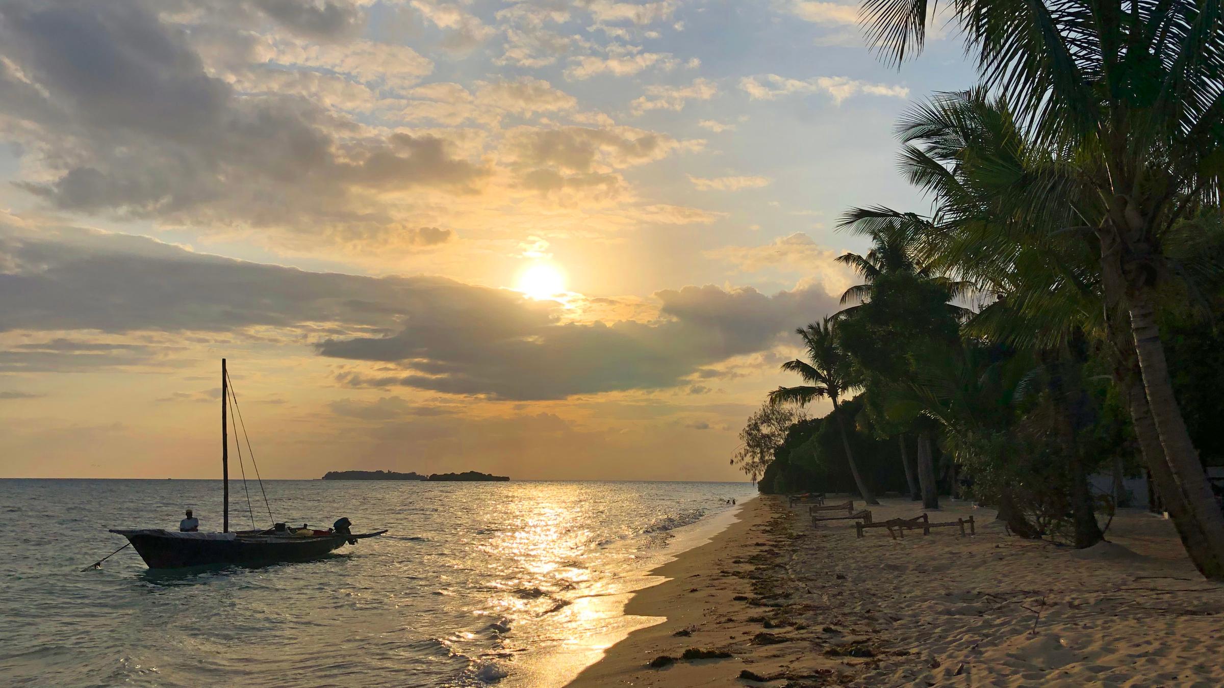 "Sansibar - Afrikas wilde Schönheit": Strand mit Palmen und Segelboot im Wasser.