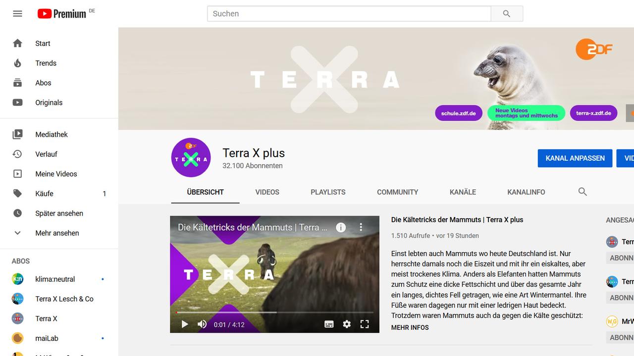 "Terra X digital: Terra X plus": Screenshot des neuen YouTube-Kanals "Terra X plus", dem YouTube Angebot für Schülerinnen und Schüler. Unter dem Community Tab gibt es regelmäßig Updates in Text- und Bildform oder auch Quizze zum Mitraten.
