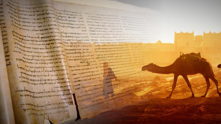 "Wer schrieb die Bibel? - Die Geheimnisse des Qumran-Codes": Collage. Links: ein altes Buch mit Schriftzeichen. Rechts: Ein Kamel, das durch die Wüste geführt wird vor einem Sonnenuntergang.